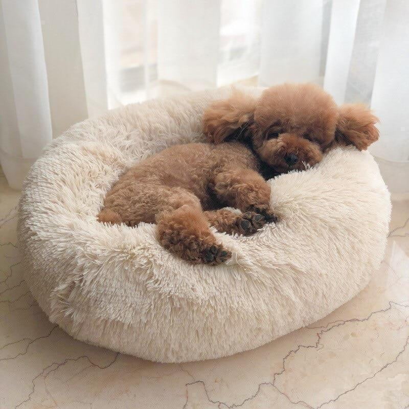 Kuscheliges Hundebett